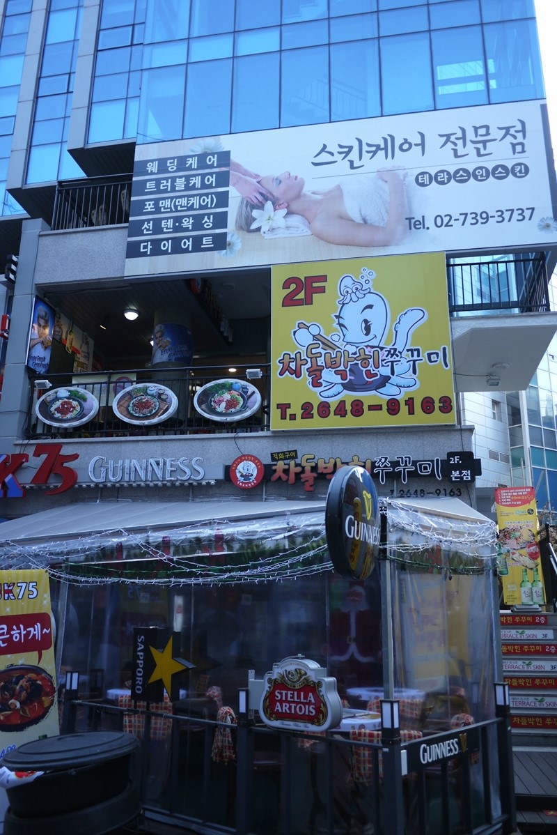 테라스 인 스킨 이미지