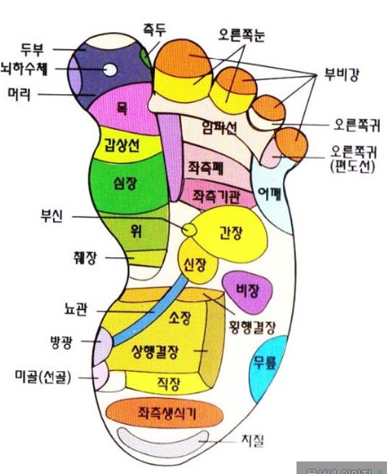 더아름다운뷰티샵 이미지