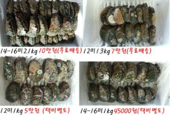 노화수산 이미지