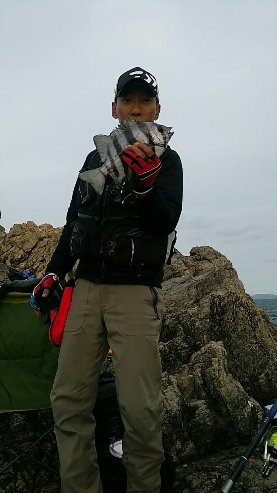 에스엔에프 이미지
