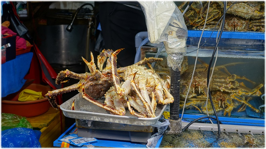오렌지수산 이미지