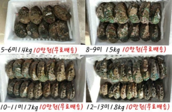 노화수산 이미지