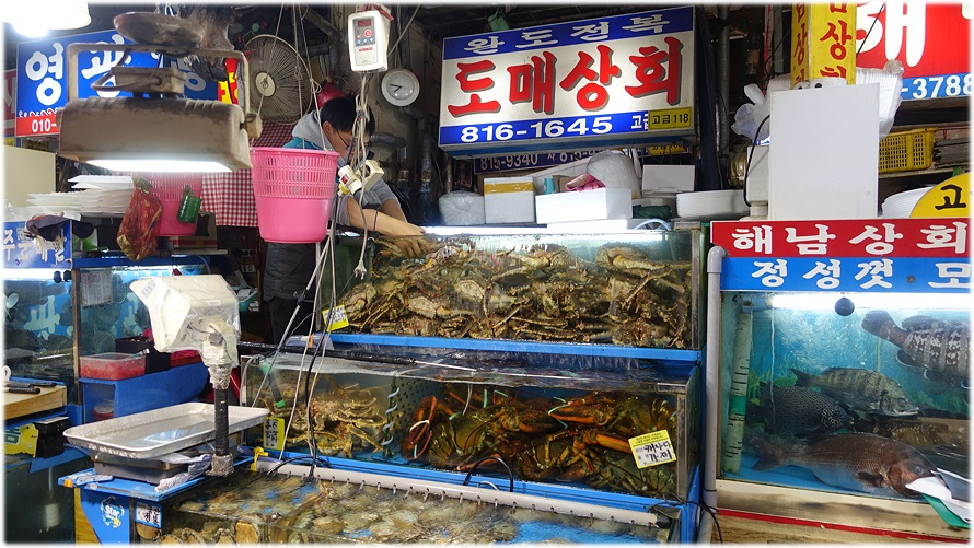 오렌지수산 이미지