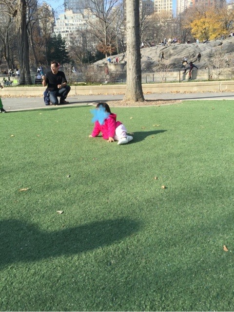 미들그라운드 이미지