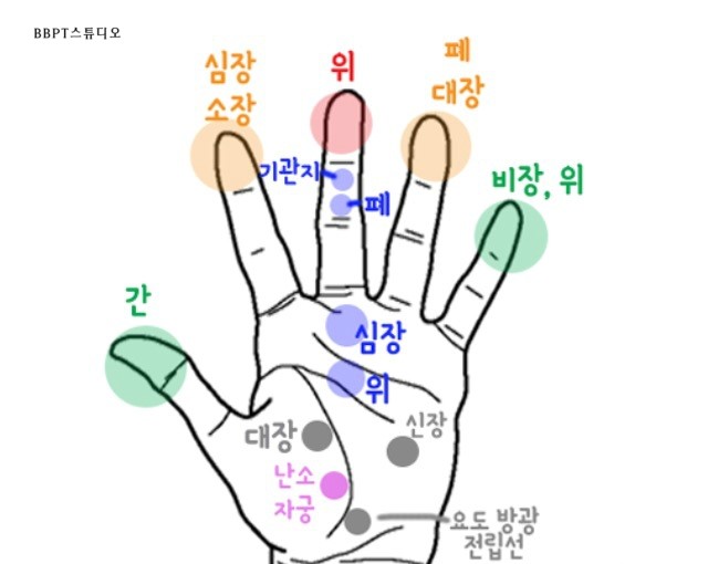 인체 축소판 손바닥 지압점 [손가락 지압방법]손바닥 신체부위 지압점 : 네이버 블로그
