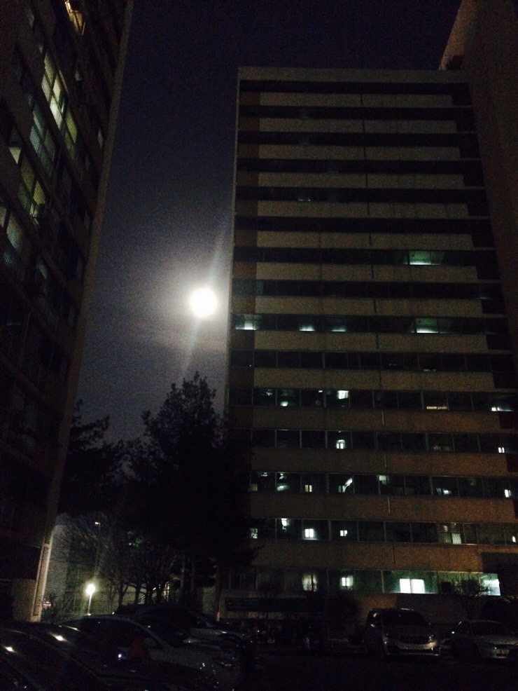 달아달아 이미지