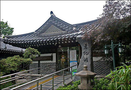 차우리다 이미지