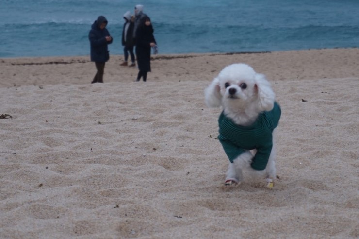 떡뜨래 이미지