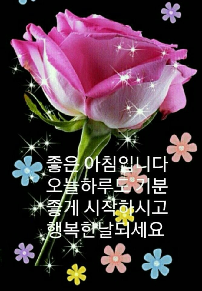 토요일 이미지