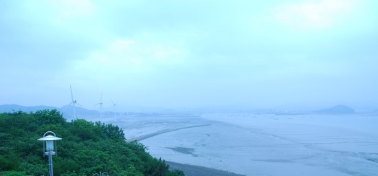 전곡수산시장 이미지