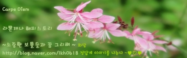 부산어묵 사진 3