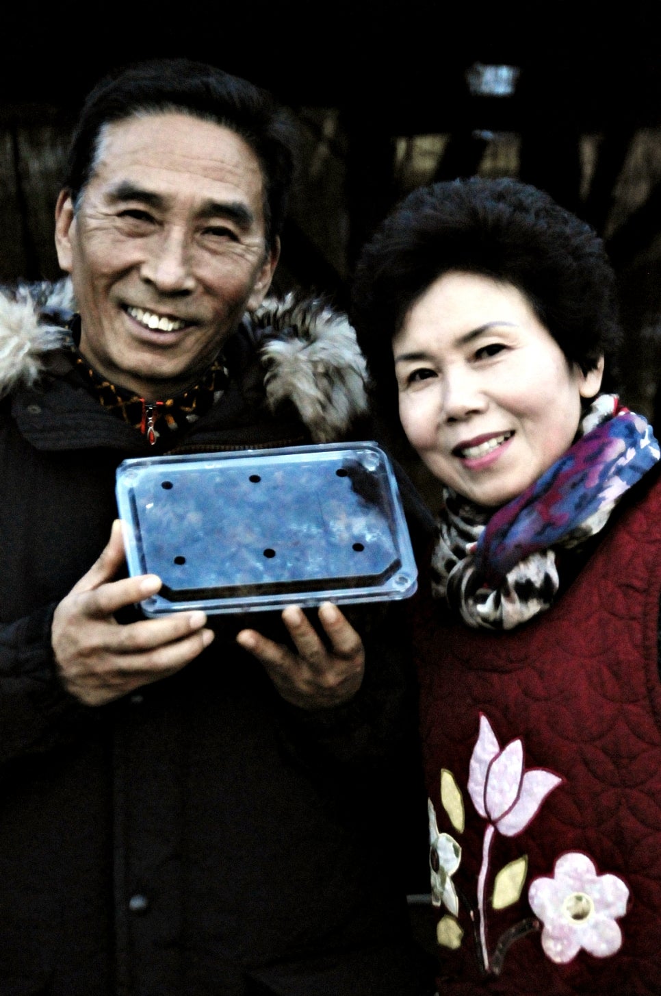 법인함초롱 이미지
