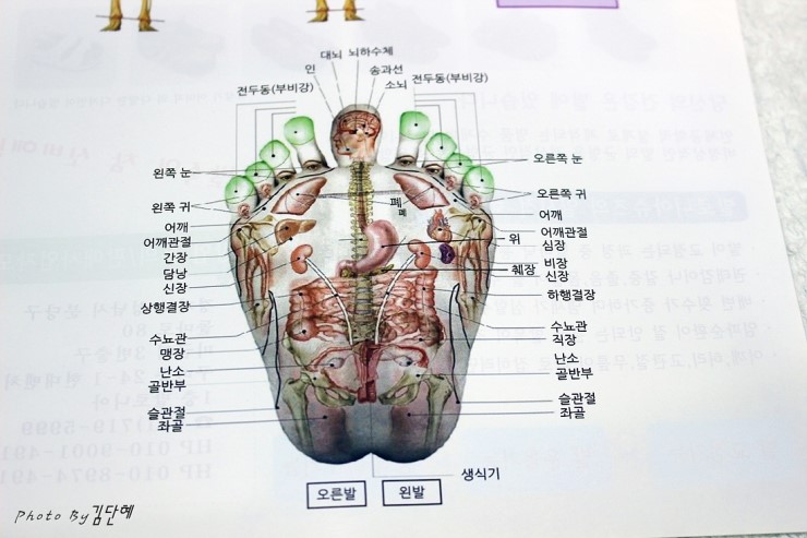 발로니아 이미지
