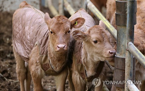 담소사골순대 이미지
