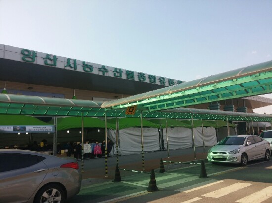 (주)농수산물센터 이미지