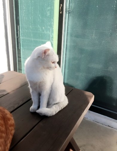 더설레임펜션 이미지