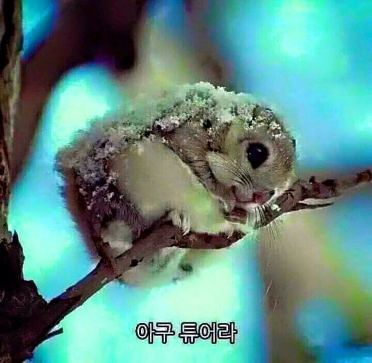 여행나라 이미지