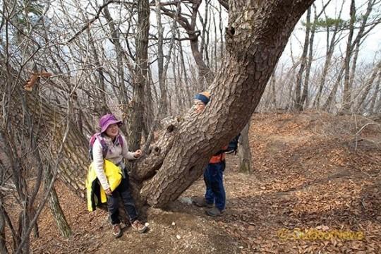 골무봉정상 이미지