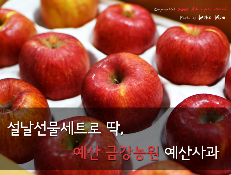 금강농원 이미지