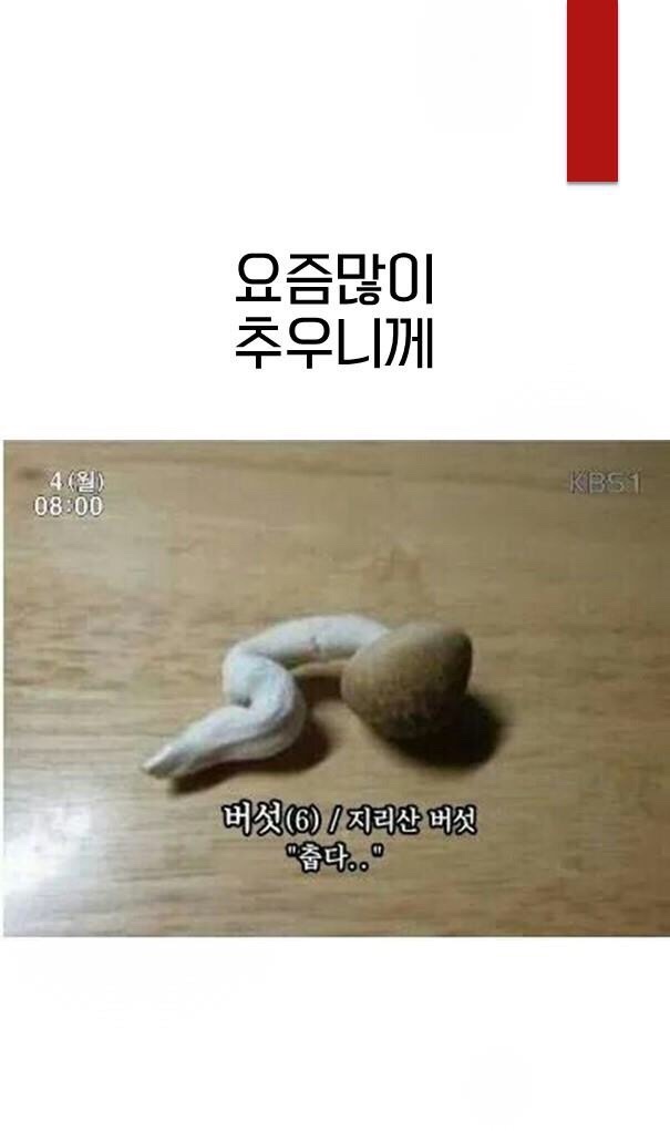 오늘한점 이미지