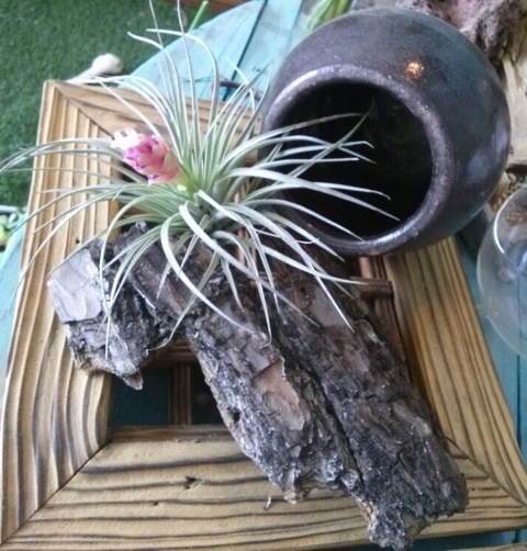 Flower늘봄 이미지