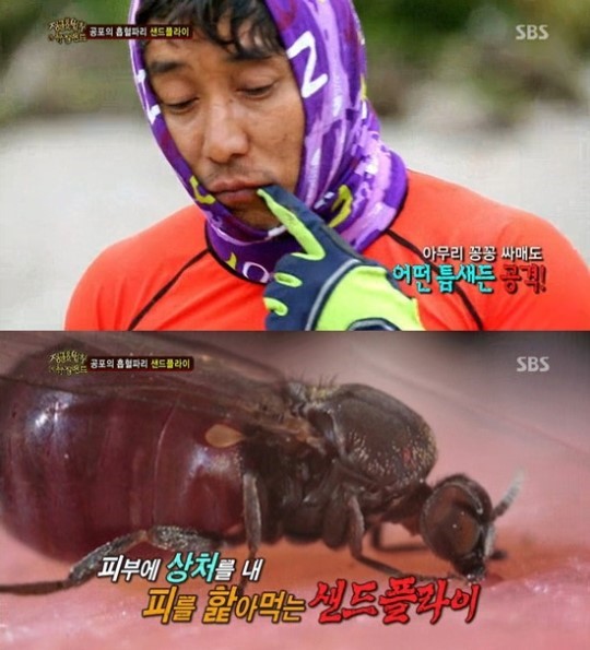 배로샌드 이미지