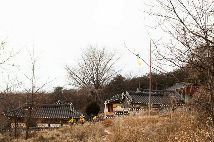 교동숲 이미지