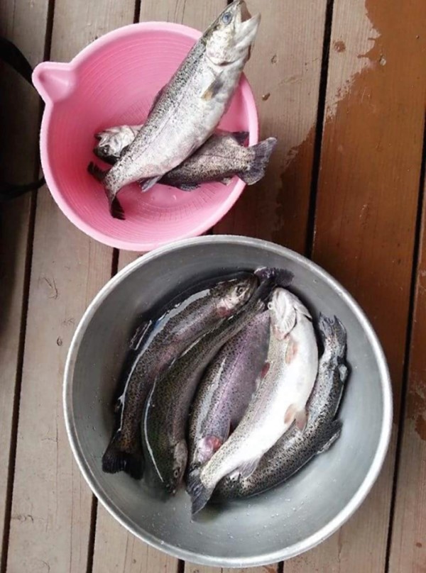 팔딱팔딱 이미지