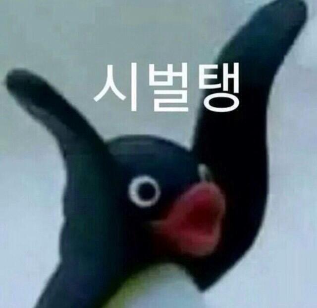 마츠하나 이미지