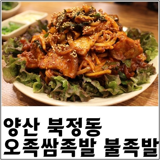 오족쌈족발 이미지