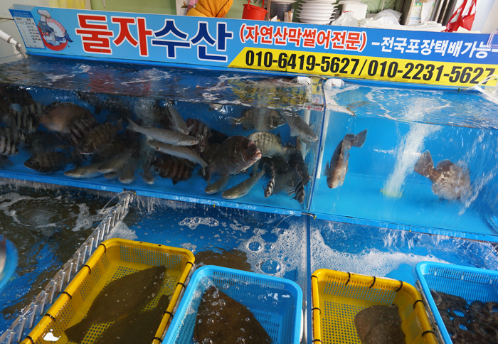 둘자수산 이미지