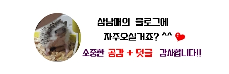 봉자족발 이미지