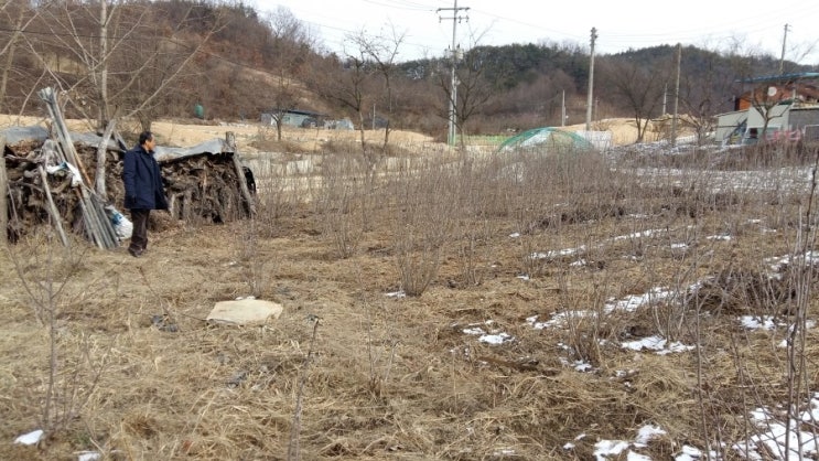 감천주유소 이미지