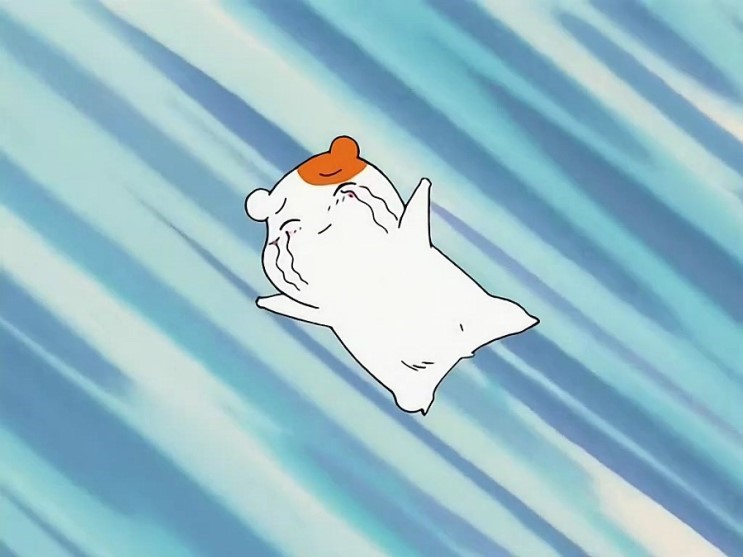 더드레스코드 이미지