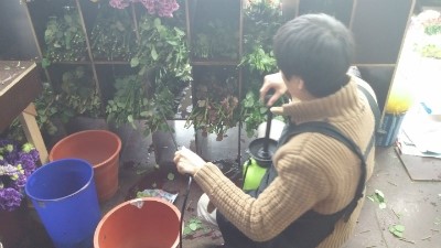 시장꽃도소매 이미지