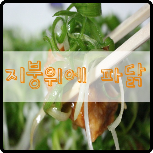지붕위에파닭 이미지