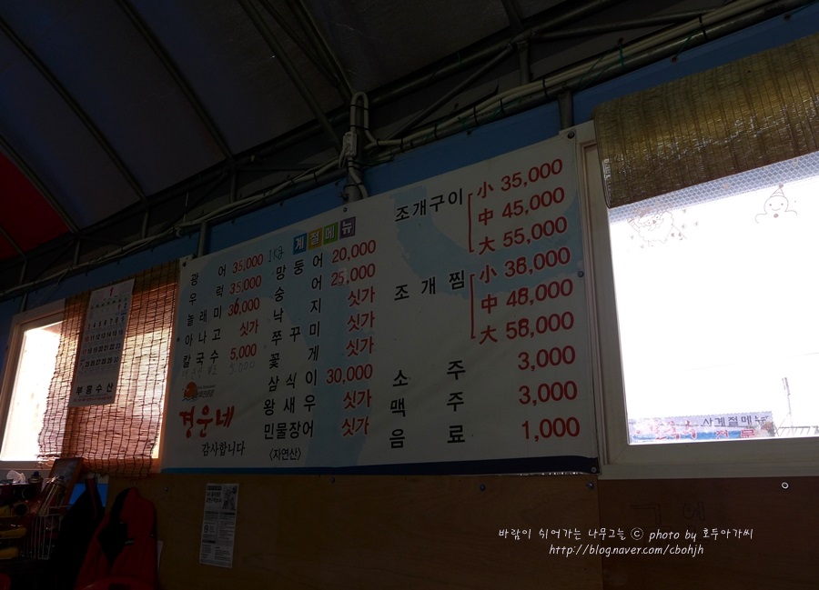 경운네 이미지