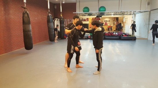 곰체육관 이미지