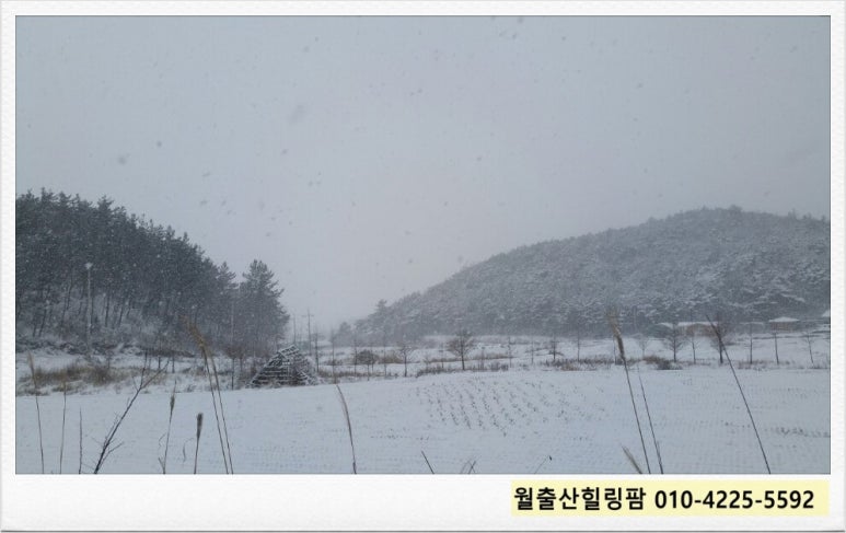 월출산힐링팜 이미지