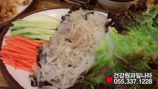 오징어와친구들 이미지