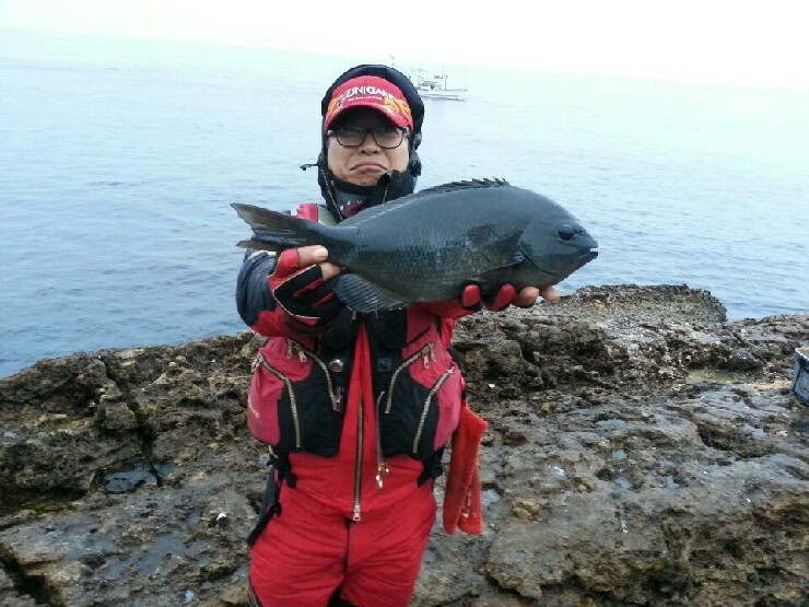 In 포인트 이미지