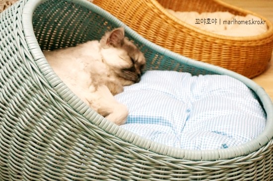 홈즈라이프 이미지