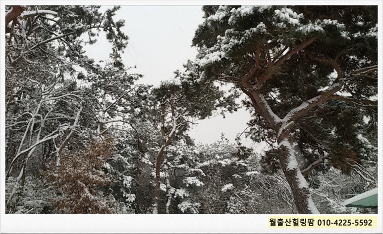 월출산힐링팜 이미지
