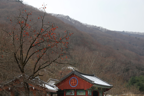 남평민물장어 이미지