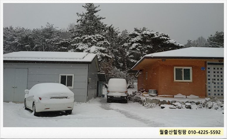 월출산힐링팜 이미지