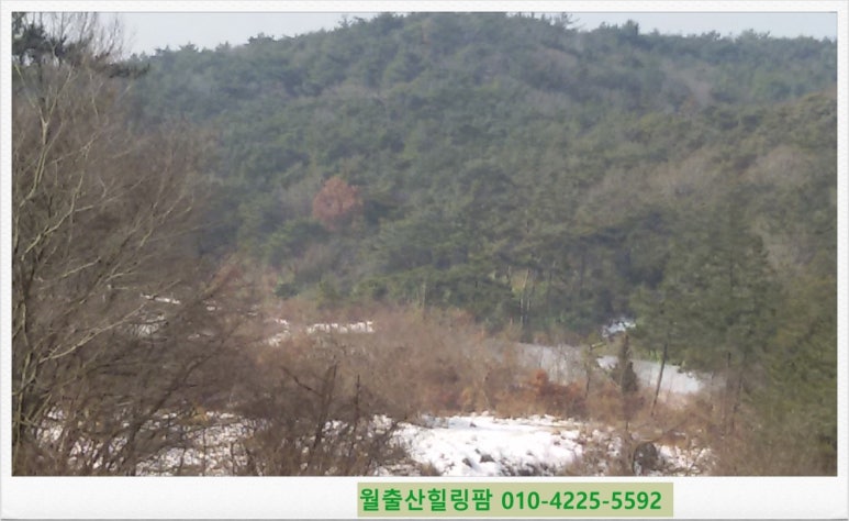 월출산힐링팜 이미지