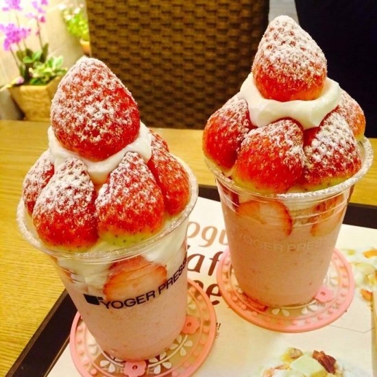 메리봄 이미지