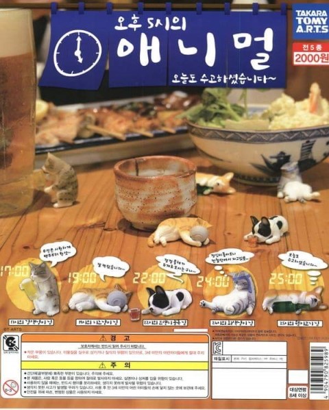롯데리아강릉 이미지