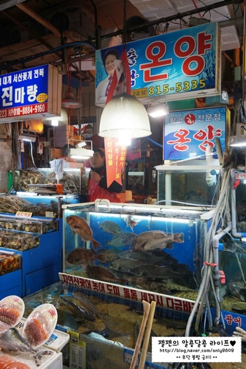 온양상회 이미지