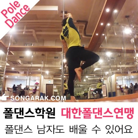 대한폴댄스연맹학원 이미지